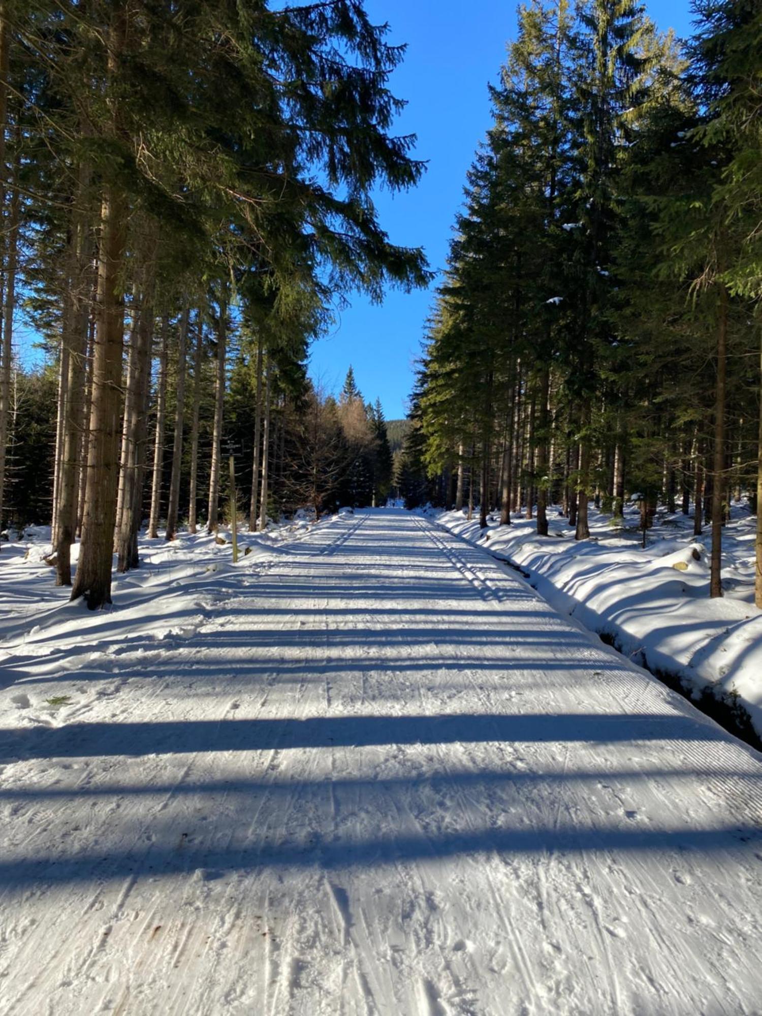 Kwaterka Familijna Schreiberhau Exterior foto